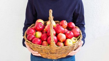 Çiftçi elma ile bir sepet tutar