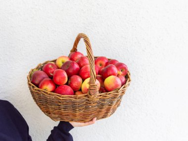 Çiftçi elma ile bir sepet tutar