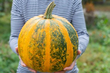 Çiftçi bir portakal olgunlaşmış kabak tutan