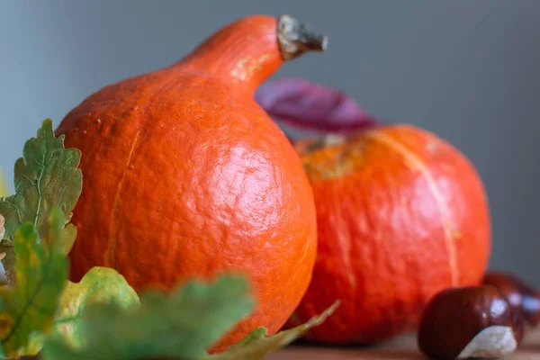 オレンジ色のカボチャと秋の背景 — ストック写真