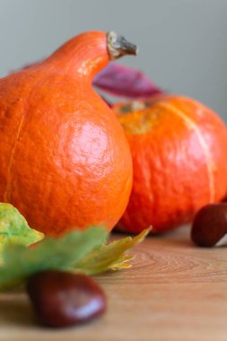 Turuncu kabak ile sonbahar arka plan