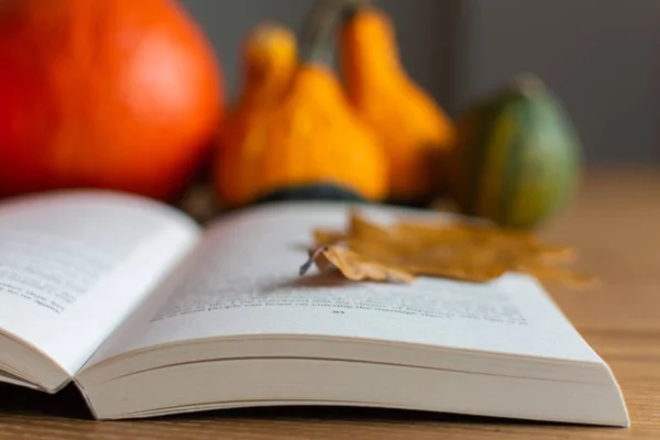 Осенний фон с открытой книгой — стоковое фото