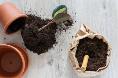 Çiçek naklediliyor.