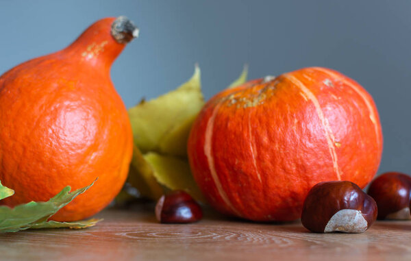 Autumn background with orange pumpkins