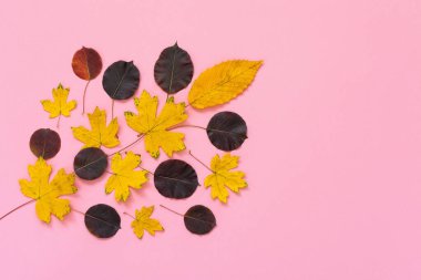 Pembe arka planda düşen yapraklar