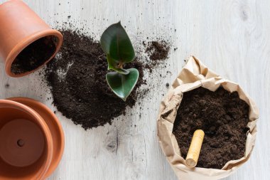 Çiçek naklediliyor.