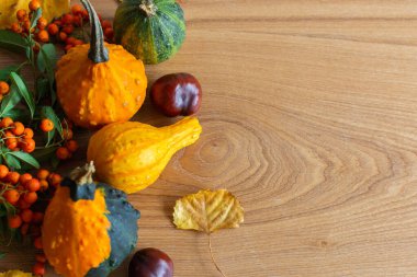 Kabaklarla sonbahar arkaplanı