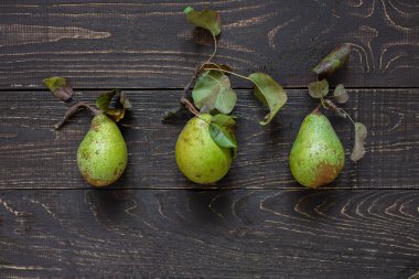 Yapraklı taze organik yeşil armutlar.