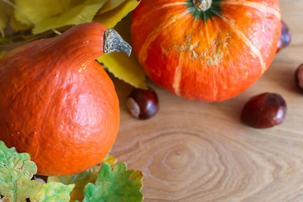 Fundo de outono com abóboras laranja — Fotografia de Stock