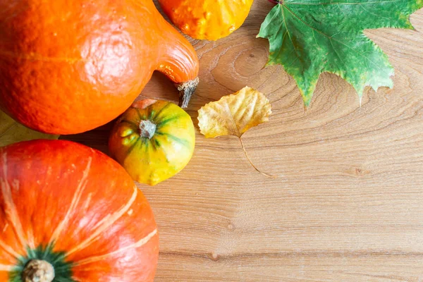 Fundo de outono com abóboras laranja — Fotografia de Stock