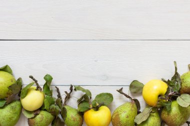 Taze organik sarı elmalar ve yeşil armutlar