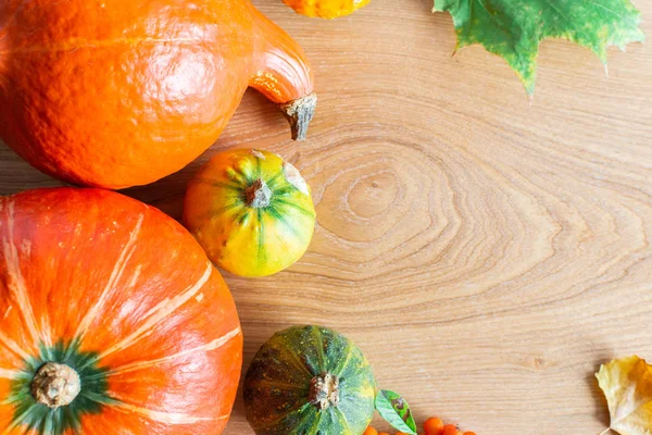 Fundo de outono com abóboras laranja — Fotografia de Stock