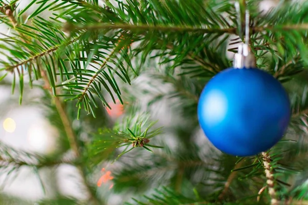 Zielona Gałąź Jodły Niebieskim Trendem Christmas Ball Tło Wakacje Szczęśliwy — Zdjęcie stockowe