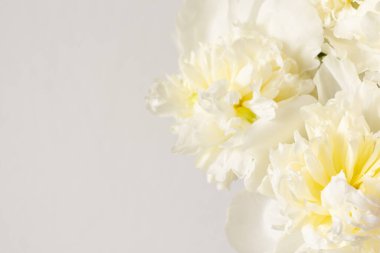 Beyaz şakayık çiçekli arka plan