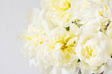 Güzel bir buket şakayık, beyaz şakayık çiçekli arka plan