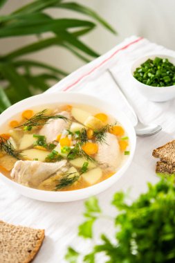 Taze sebzeli tavuk çorbası.