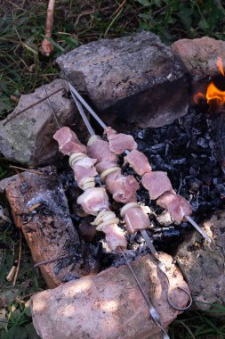 Sıcak kömürlerin sıcaklığında et pişirmek, kampta yemek pişirmek, doğada et kebabı.