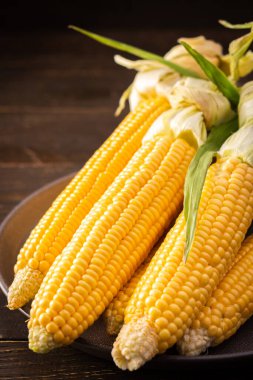 Taze mısır, organik mısır koçanı ve koyu ahşap arka planda yapraklar.