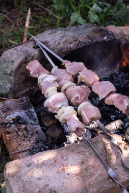 Sıcak kömürlerin sıcaklığında et pişirmek, kampta yemek pişirmek, doğada et kebabı.