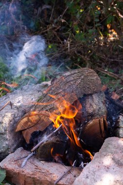 Doğada kamp ateşi, açık ateşte et pişirmek için bahçenizde ateş yakmak