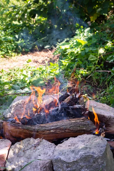 캠프파이어 정원에 고기를 요리하는 — 스톡 사진