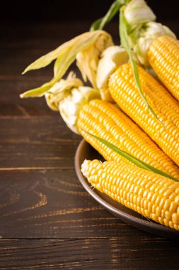 Taze mısır, organik mısır koçanı ve koyu ahşap arka planda yapraklar.