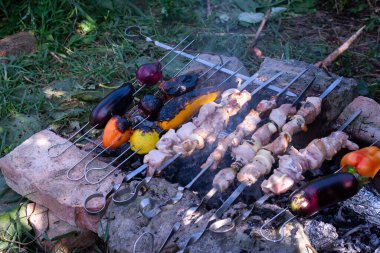 Sıcak kömürlerin sıcaklığında et pişirmek, kampta yemek pişirmek, doğada sebzeli et kebabı.
