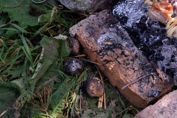 Ateşte Patates Pişirmek Yürüyüşte Yemek Pişirmek — Stok fotoğraf