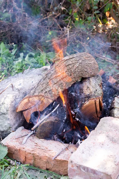 自然の中でキャンプファイア オープン火災で肉を調理するためのあなたの庭で火を作る — ストック写真