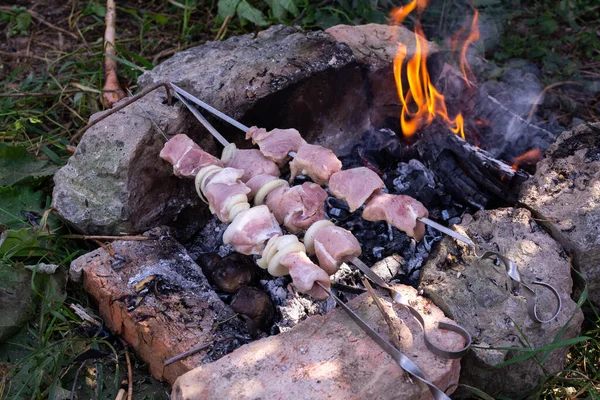 Gotowanie Mięsa Upale Gorących Węglanów Gotowanie Potraw Kempingu Kebab Mięsny — Zdjęcie stockowe