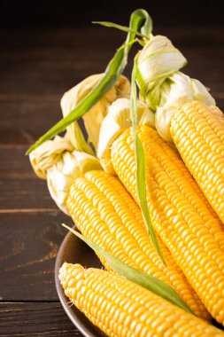 Taze mısır, organik mısır koçanı ve koyu ahşap arka planda yapraklar.