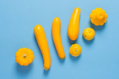 Taze kabak hasadı ve pattypan kabağı, sarı kabak ve mavi arka planda pattison.