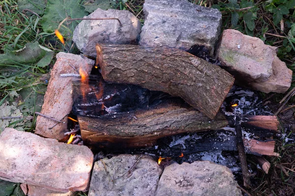 Doğada Kamp Ateşi Açık Ateşte Pişirmek Için Bahçenizde Ateş Yakmak — Stok fotoğraf