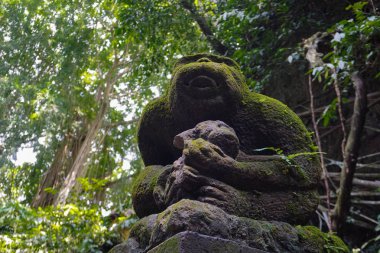 Bali maymun heykeli yosun ile kaplı