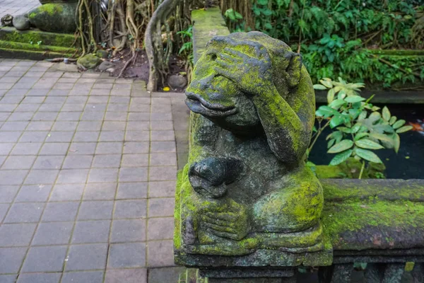 Bali maymun heykeli yosun ile kaplı
