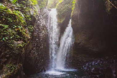 Bali bir ormanda küçük şelale, Endonezya bir mini şelale ile. Orman, dere, şelale ve manzara kavramları