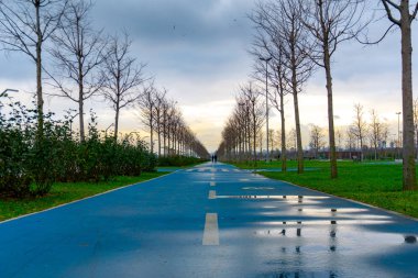 Parkın merkezinde özel bisiklet yolu
