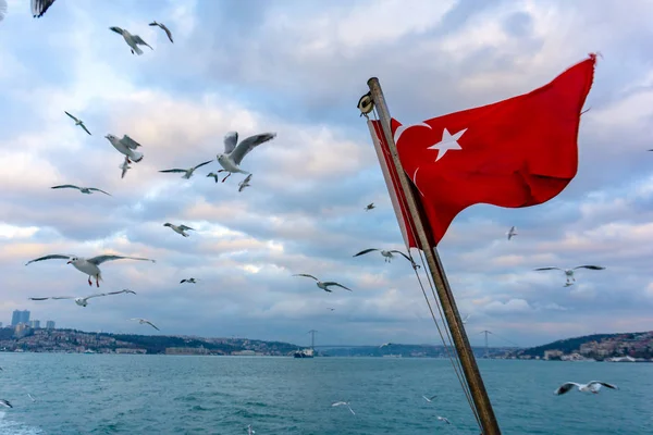 Ondeando bandera turca sobre el mar con gaviotas volando — Foto de Stock