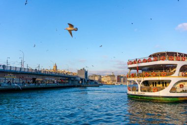 Galata köprüsü ve yaz gecesi uçan martılar yakın Feribot