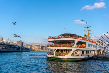 Galata köprüsü ve yaz gecesi uçan martılar yakın Feribot