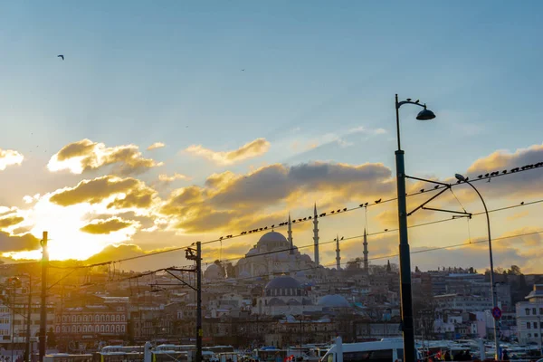 Ponte di Galata e uccelli su fili, veduta notturna della moschea blu di Istanbul, Turchia, 12.01.2019 — Foto Stock