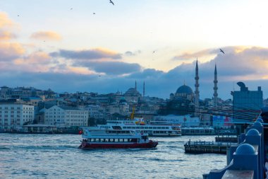 İstanbul'da büyük bir şehir su yolu ve İstanbul Boğazı'nın ana girişi olan Haliç'e yolcu feribotu gidiyor