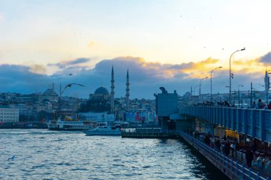 İstanbul'da büyük bir şehir su yolu ve İstanbul Boğazı'nın ana girişi olan Haliç'e yolcu feribotu gidiyor