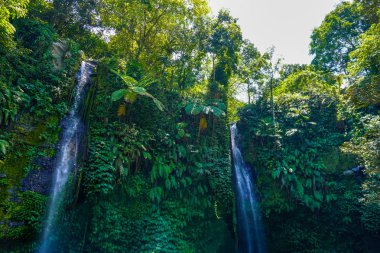 Ada Da Terjun Kelambu şelaleLombok, Endonezya