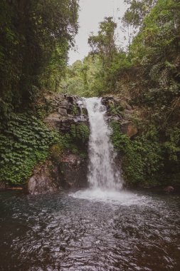 Şelale Bali popüler bir turistik yer, çevresindeki çekici yeşillik için bilinen