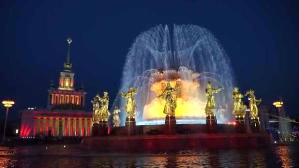 Moscou Rússia Julho 2019 Menino Montando Wakeboard Parque — Vídeo de Stock