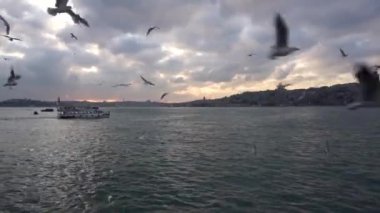 Tarihi yarımadanın siluetleri, uçan martılı yolcu gemileri ve Boğaz'ın girişi, Karaköy'den manzara, İstanbul
