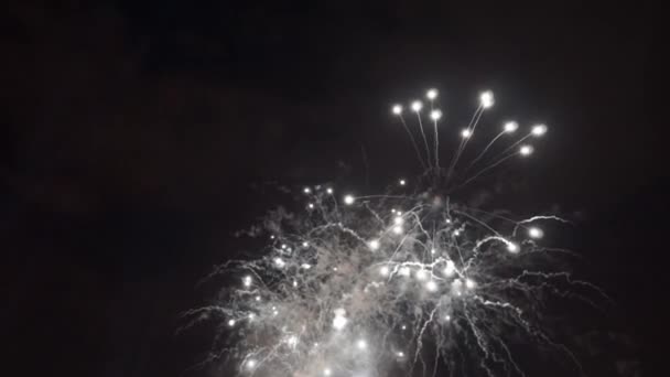 Hermoso Espectáculo Fuegos Artificiales Día Navidad Mayor Los Fuegos Artificiales — Vídeos de Stock