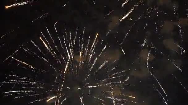 Mooie Vuurwerkshow Kerstdag Grootste Van Vuurwerk Celebration Day Clip Van — Stockvideo