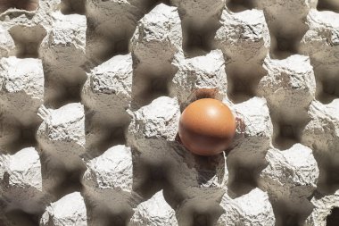 yumurta için kağıt ambalaj